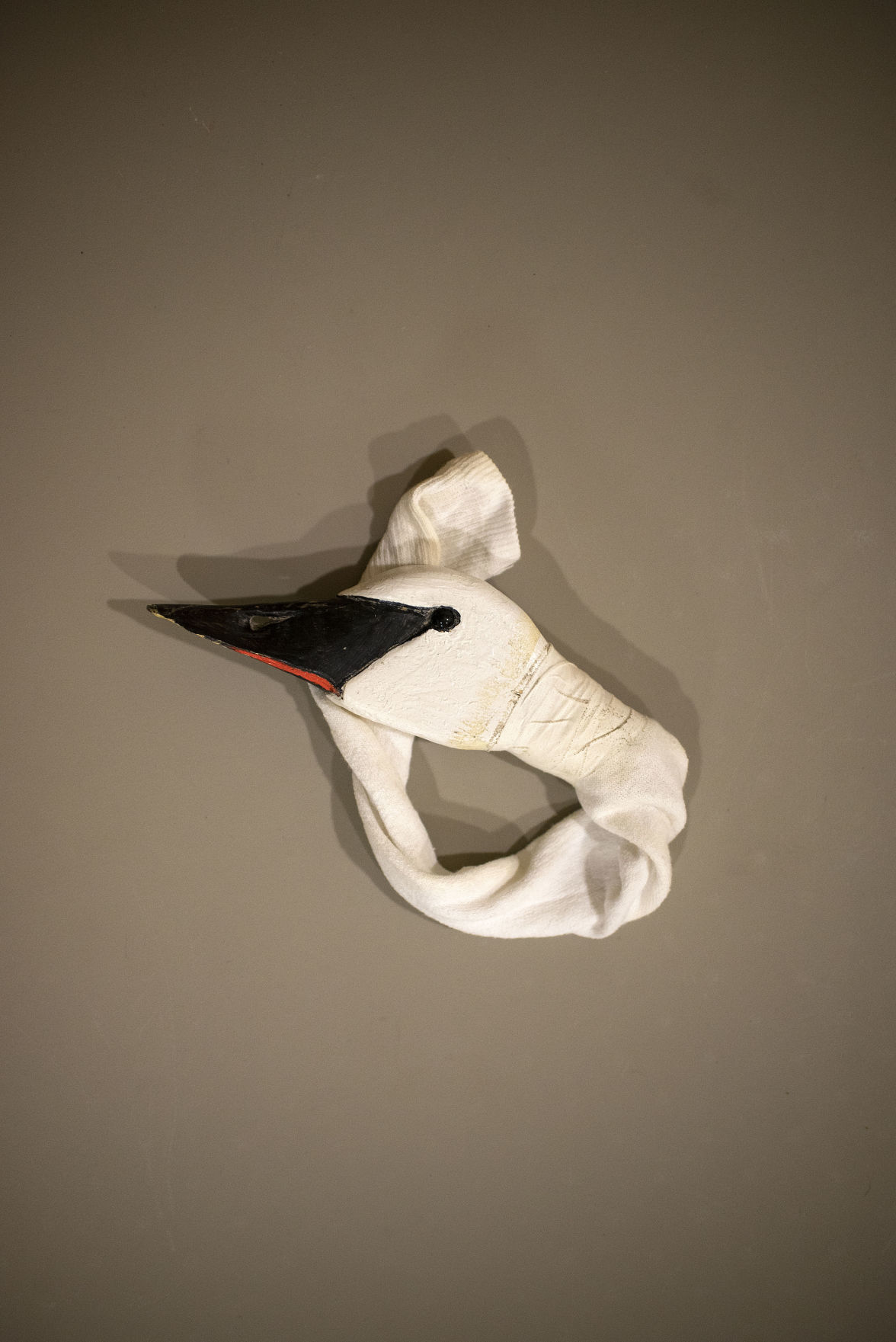 Swan rehabilitation